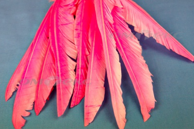 Декоративный Пучок из перьев, перо 25см/розовый - купить в Новомосковске. Цена: 14.40 руб.