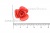 Украшение "Розы малые №1" 20мм - купить в Новомосковске. Цена: 32.49 руб.