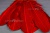 Декоративный Пучок из перьев, перо 23см/красный - купить в Новомосковске. Цена: 11.16 руб.