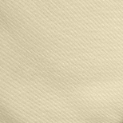 Ткань подкладочная Таффета 14-1014, антист., 53 гр/м2, шир.150см, цвет бежевый - купить в Новомосковске. Цена 62.37 руб.