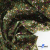 Ткань костюмная «Микровельвет велюровый принт», 220 г/м2, 97% полиэстр, 3% спандекс, ш. 150См Цв  #9 - купить в Новомосковске. Цена 439.76 руб.