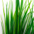 Трава искусственная -2, шт (осока 41см/8 см)				 - купить в Новомосковске. Цена: 104.57 руб.