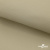 Ткань подкладочная TWILL 230T 14-1108, беж светлый 100% полиэстер,66 г/м2, шир.150 cм - купить в Новомосковске. Цена 90.59 руб.