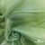 Ткань органза, 100% полиэстр, 28г/м2, шир. 150 см, цв. #27 зеленый - купить в Новомосковске. Цена 86.24 руб.