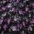 Плательная ткань "Фламенко" 20.1, 80 гр/м2, шир.150 см, принт растительный - купить в Новомосковске. Цена 241.49 руб.