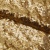 Сетка с пайетками №3, 188 гр/м2, шир.140см, цвет золотой - купить в Новомосковске. Цена 454.12 руб.