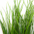 Трава искусственная -4, шт  (осока 50 см/8 см  7 листов)				 - купить в Новомосковске. Цена: 130.73 руб.