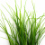 Трава искусственная -3, шт (осока 50 см/8 см  5 листов)				 - купить в Новомосковске. Цена: 124.17 руб.